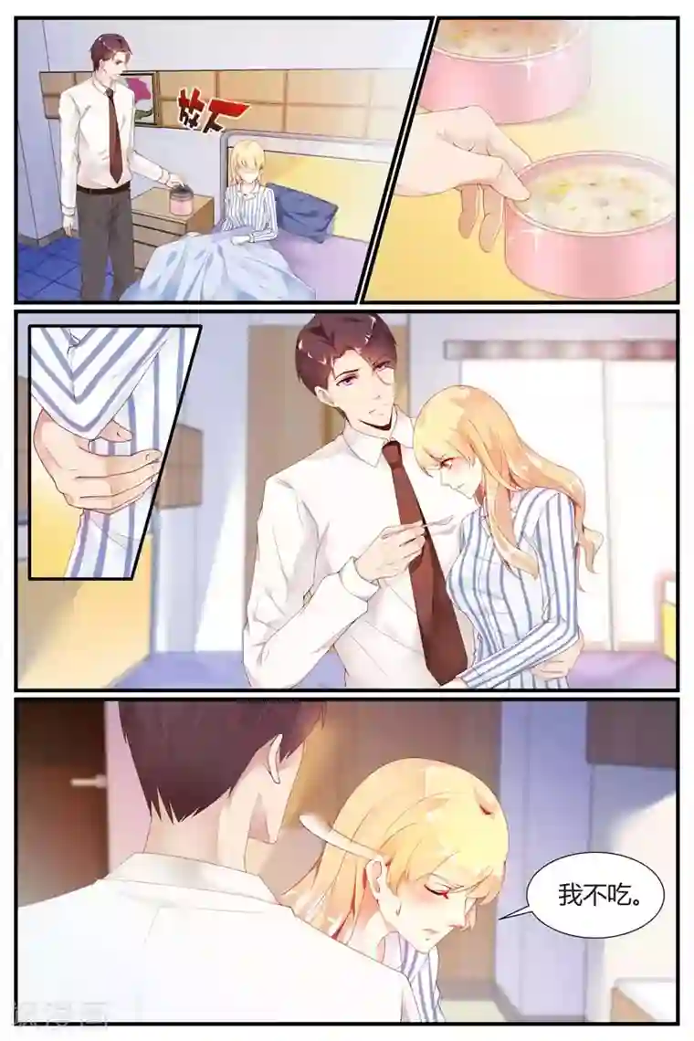 糖枫树的情书第74话