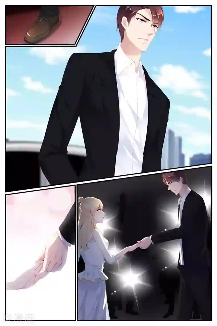 糖枫树的情书第77话