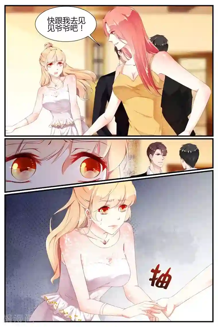 糖枫树的情书第78话