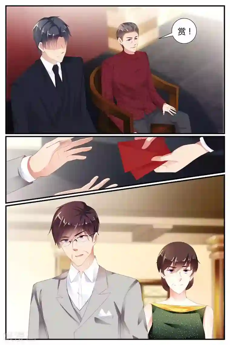 糖枫树的情书第79话