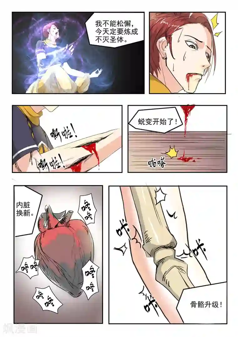 武神主宰第238话