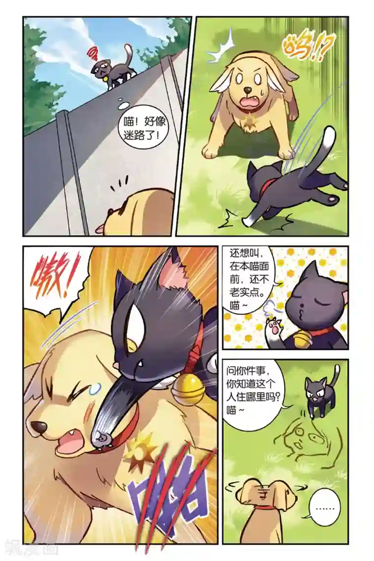 都市喵奇谭第01话 贪婪 上