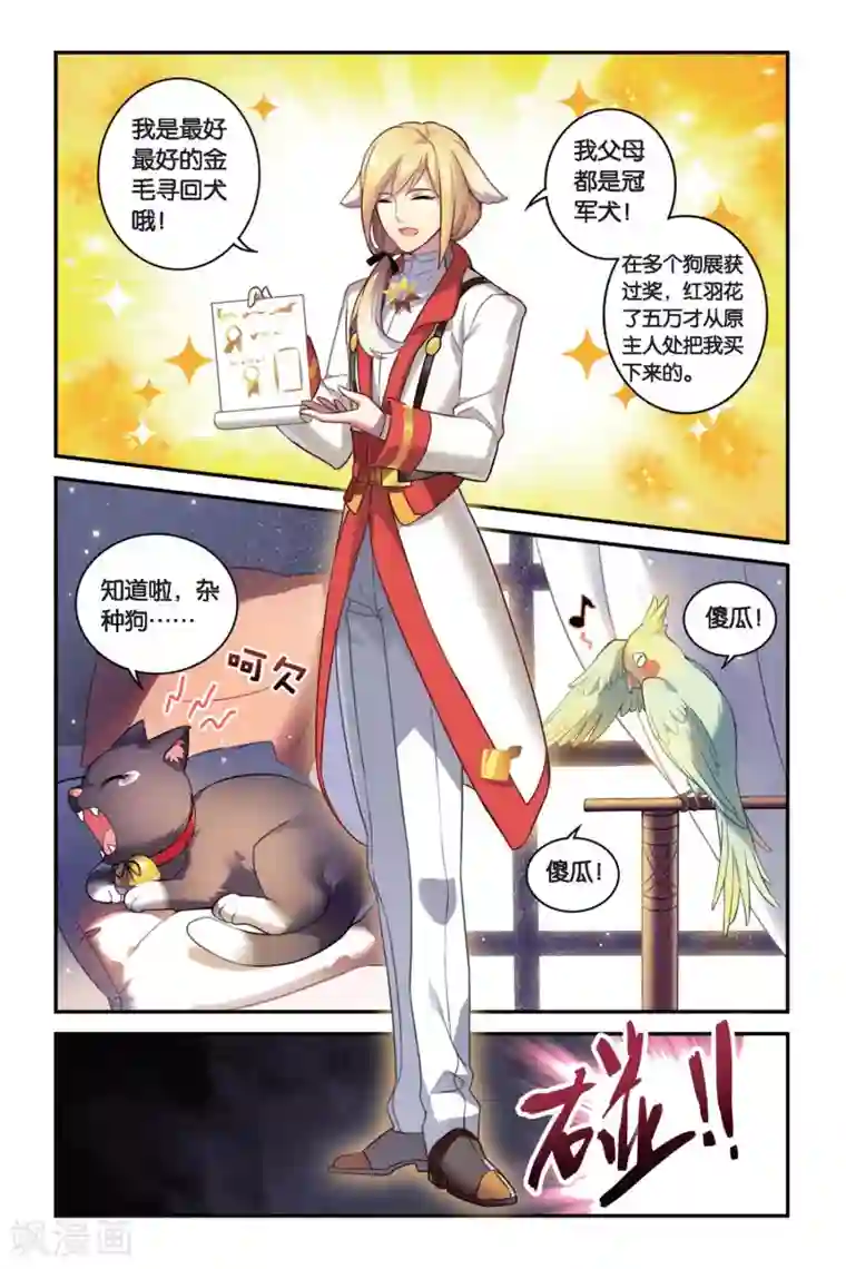 都市喵奇谭第03话 抉择（上）