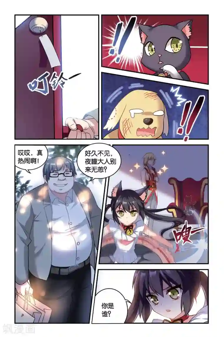 都市喵奇谭第03话 抉择（上）