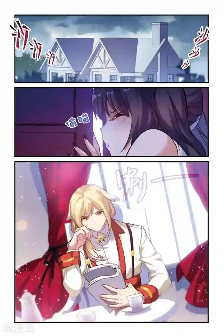 都市喵奇谭第15话 生日快乐（上）