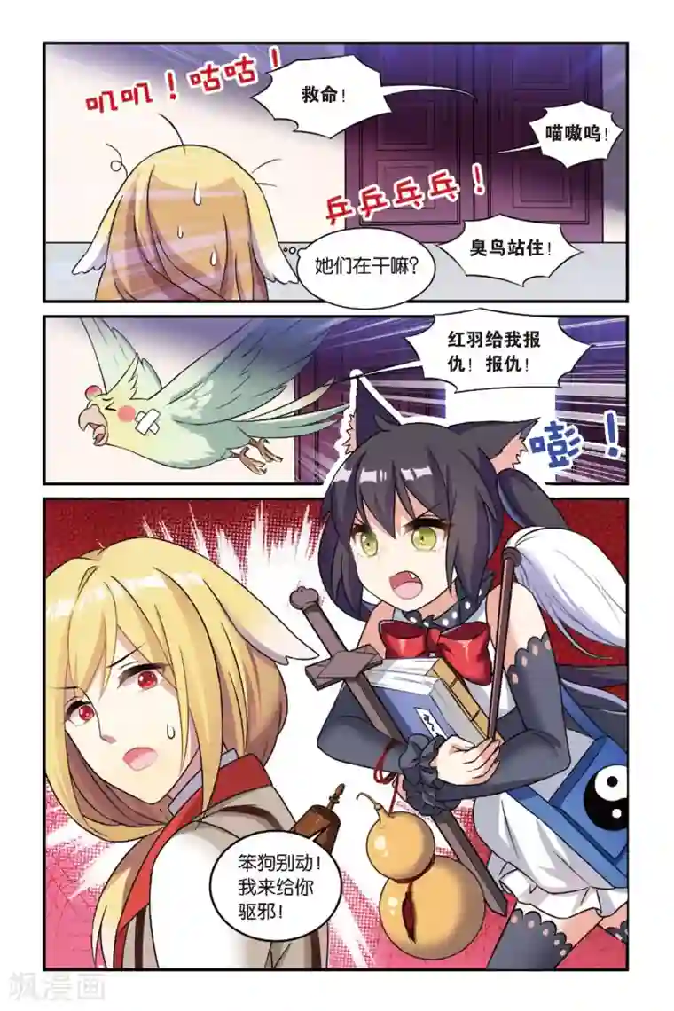 都市喵奇谭第15话 生日快乐（上）