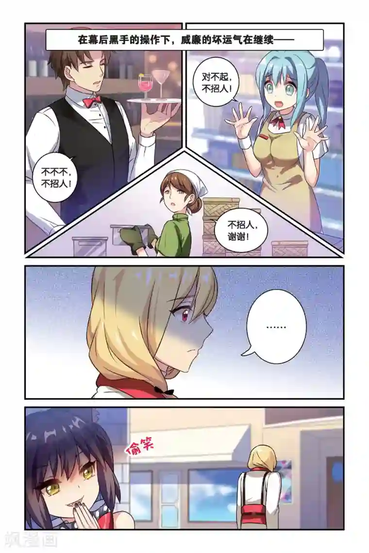 都市喵奇谭第16话 生日快乐（中）