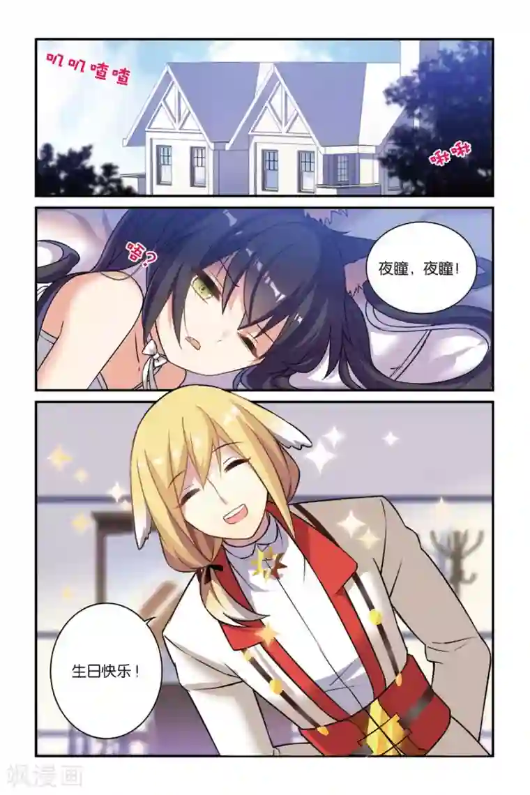 都市喵奇谭第17话 生日快乐（下）
