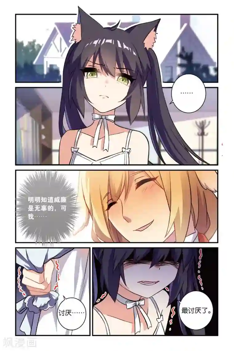 都市喵奇谭第17话 生日快乐（下）