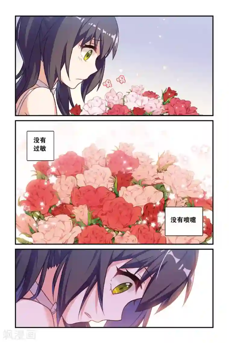 都市喵奇谭第17话 生日快乐（下）