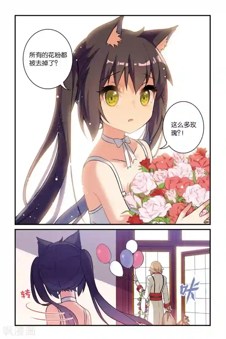 都市喵奇谭第17话 生日快乐（下）