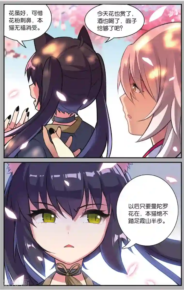 都市喵奇谭第24话 凋零的曼陀罗（一）