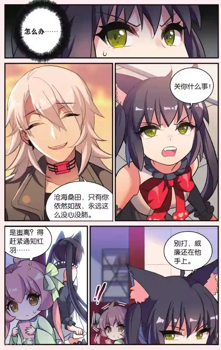 都市喵奇谭第24话 凋零的曼陀罗（一）