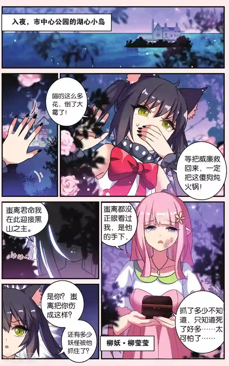 都市喵奇谭第24话 凋零的曼陀罗（一）