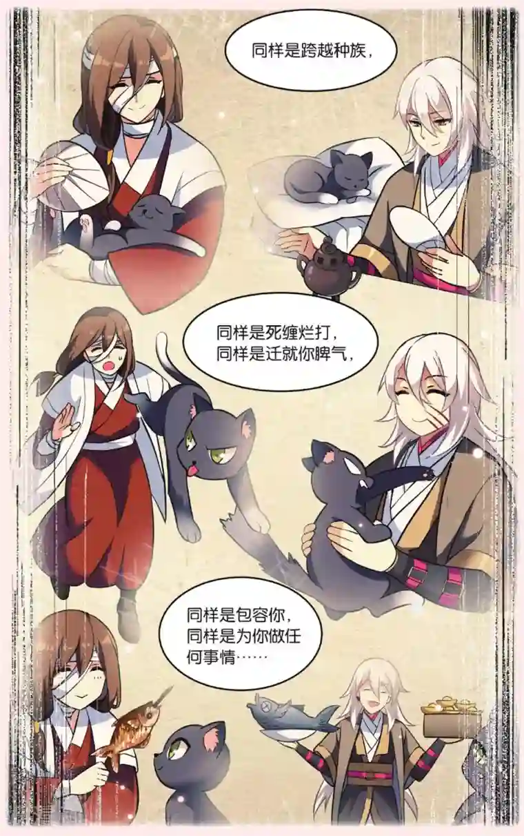 都市喵奇谭第26话 凋零的曼陀罗（三）