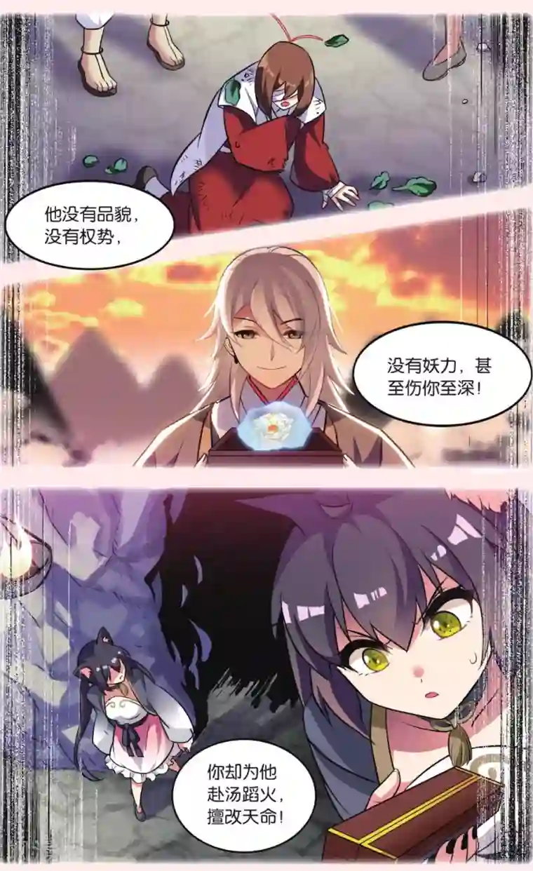 都市喵奇谭第26话 凋零的曼陀罗（三）