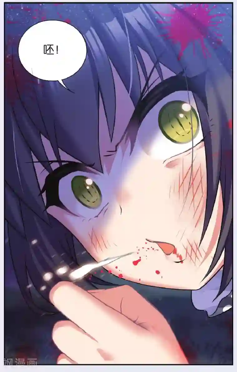 都市喵奇谭第27话 别扭猫和忠犬狗（一）