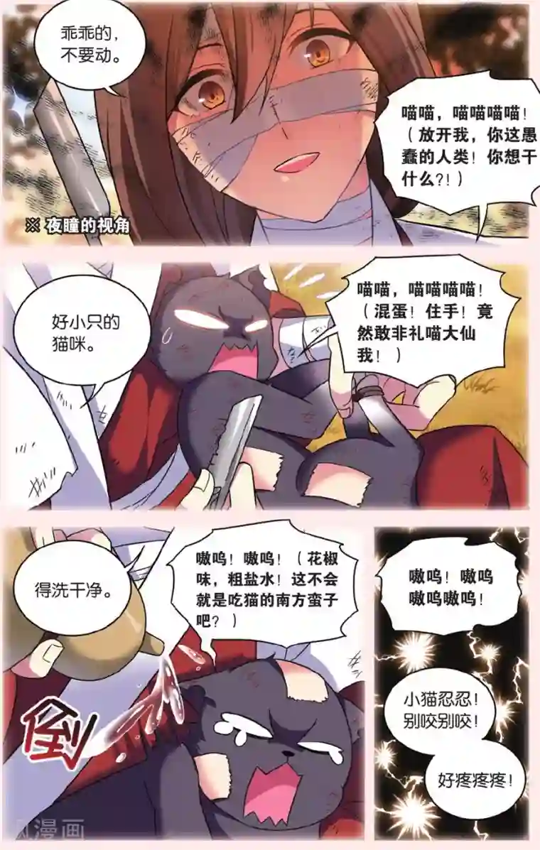 都市喵奇谭第28话 别扭猫和忠犬狗二