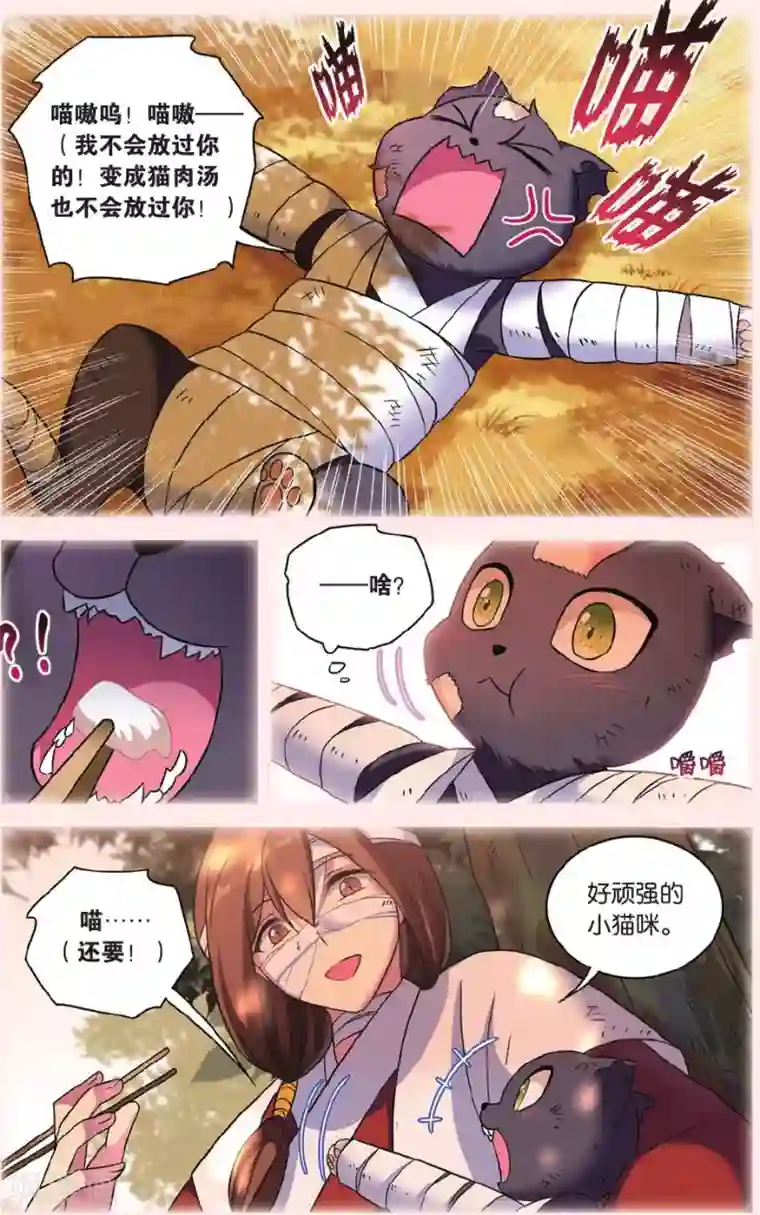 都市喵奇谭第28话 别扭猫和忠犬狗二