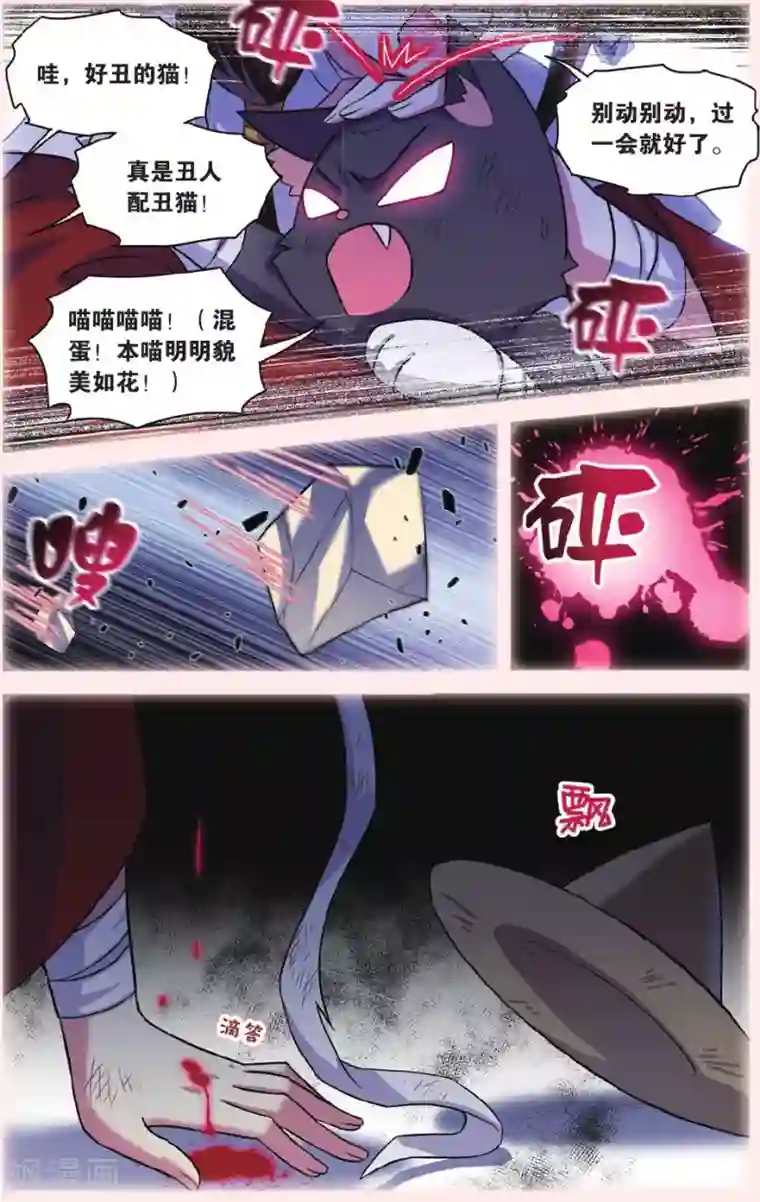 都市喵奇谭第28话 别扭猫和忠犬狗二