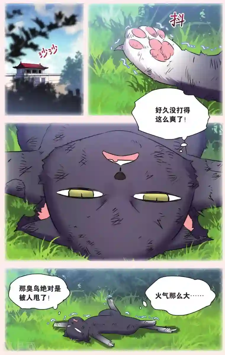 都市喵奇谭第28话 别扭猫和忠犬狗二