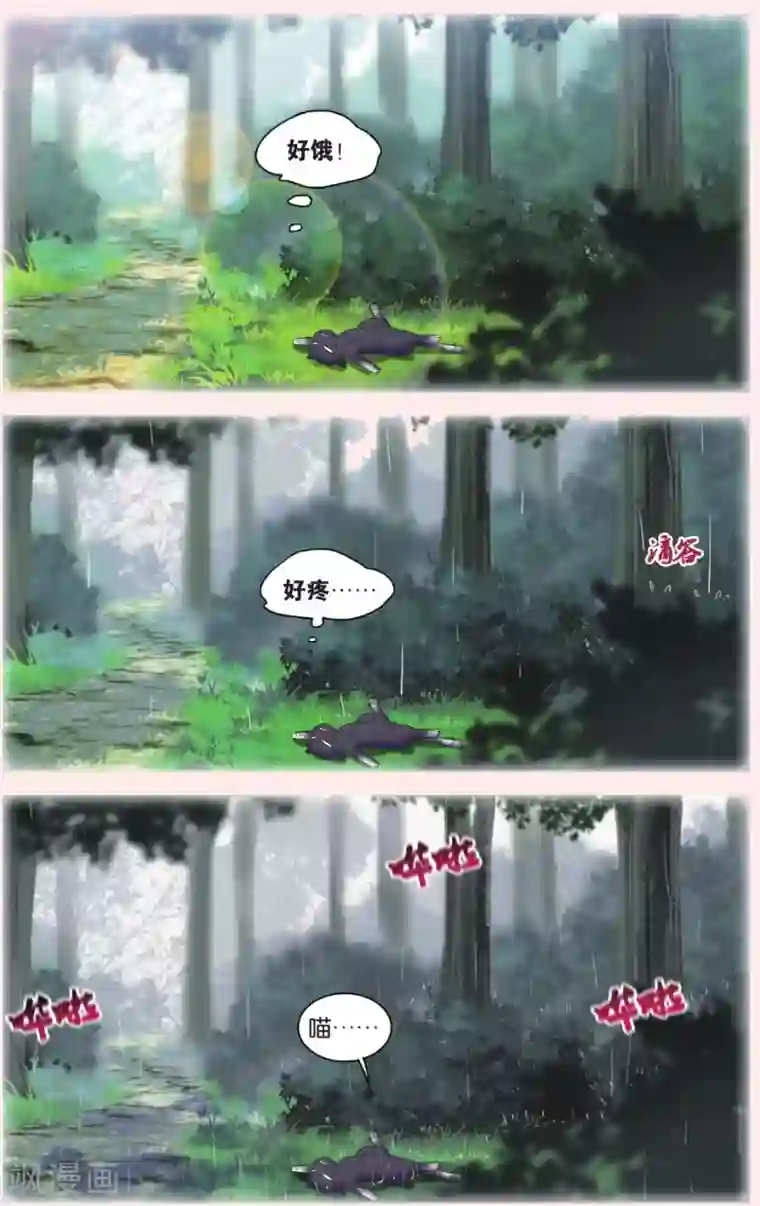 都市喵奇谭第28话 别扭猫和忠犬狗二