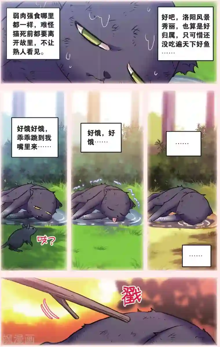 都市喵奇谭第28话 别扭猫和忠犬狗二