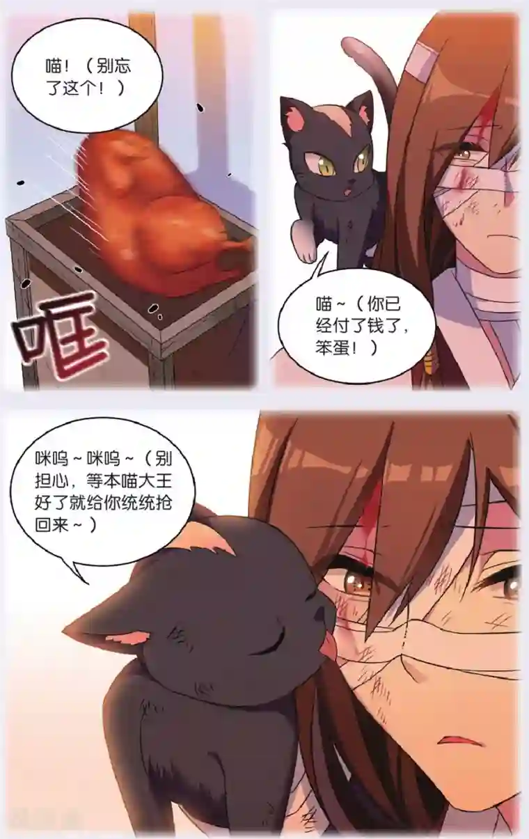 都市喵奇谭第29话 逆转时光的幸福一