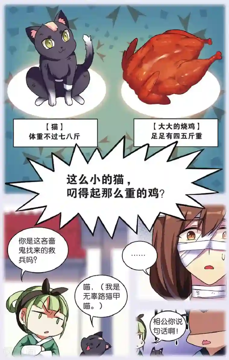 都市喵奇谭第29话 逆转时光的幸福一