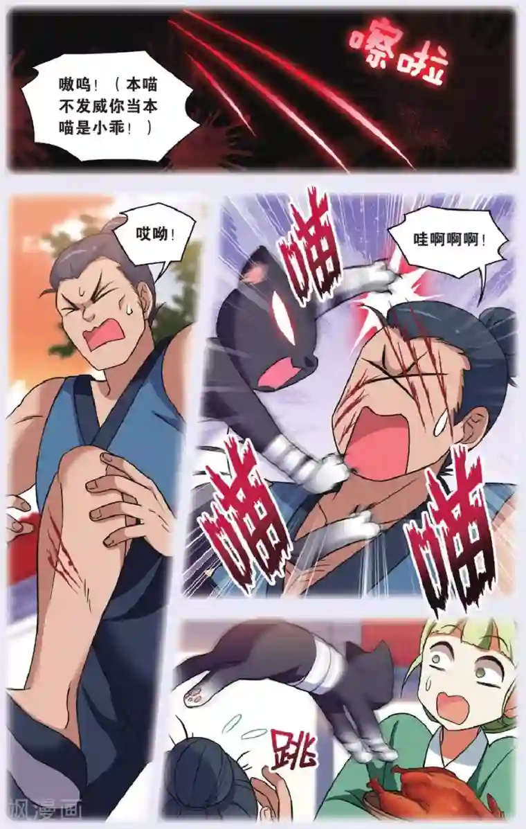 都市喵奇谭第29话 逆转时光的幸福一