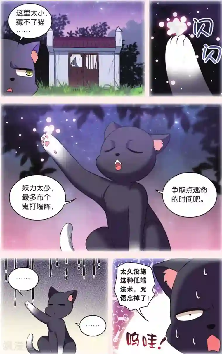 都市喵奇谭第30话 逆转时光的幸福二