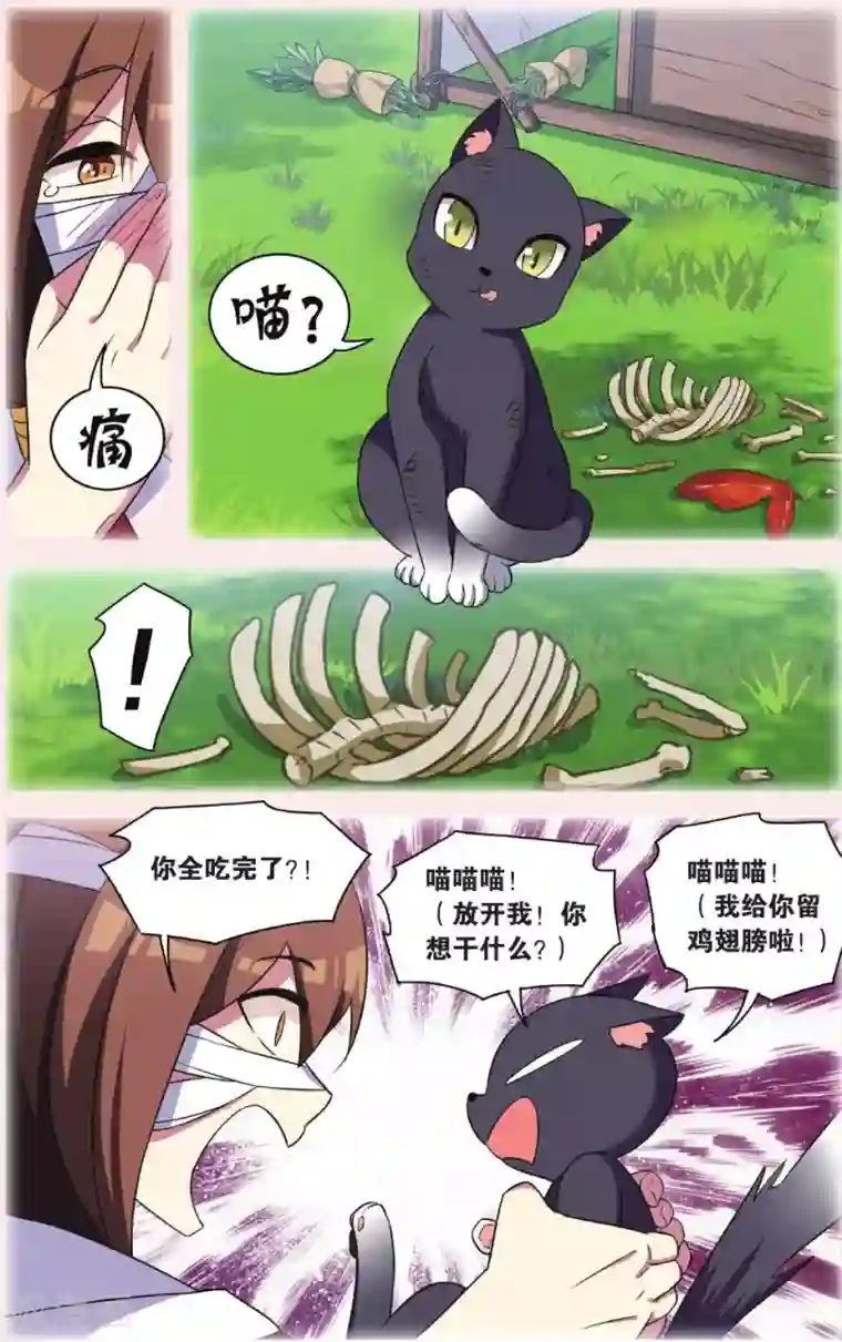 都市喵奇谭第30话 逆转时光的幸福二