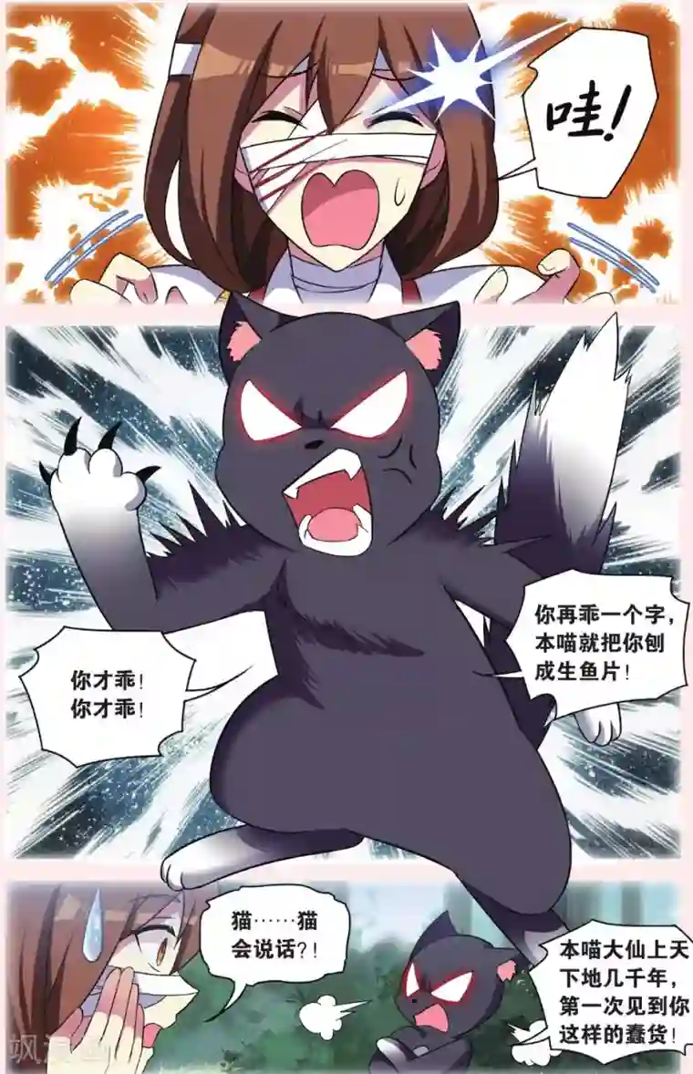 都市喵奇谭第30话 逆转时光的幸福二