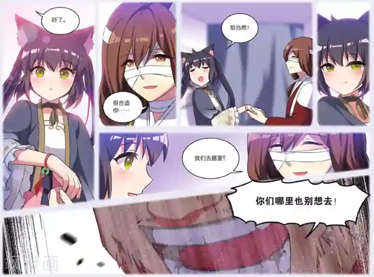 都市喵奇谭第33话 逆转时光的幸福五