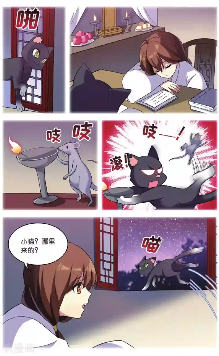 都市喵奇谭第35话 逆转时光的幸福七