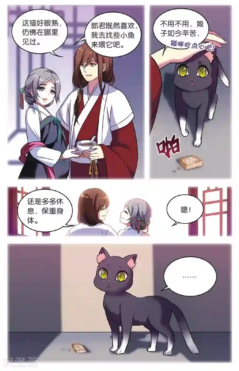 都市喵奇谭第35话 逆转时光的幸福七