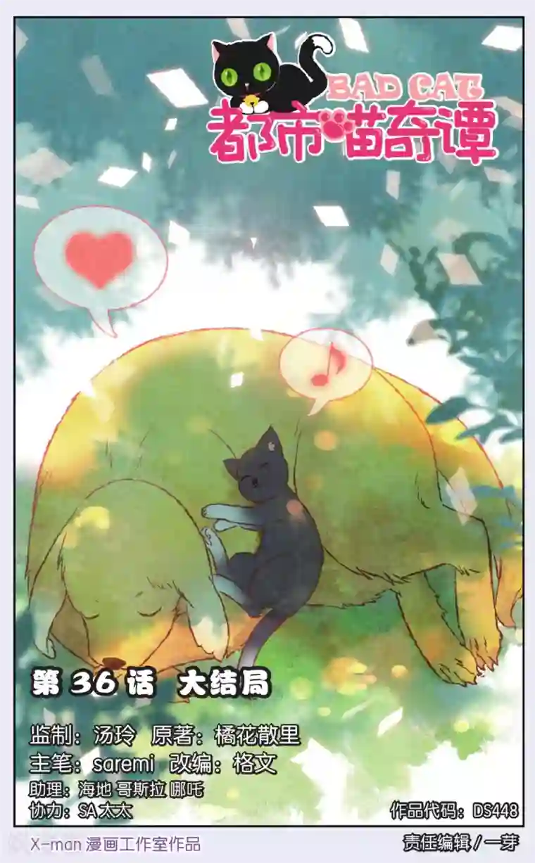 都市喵奇谭最终话 大结局