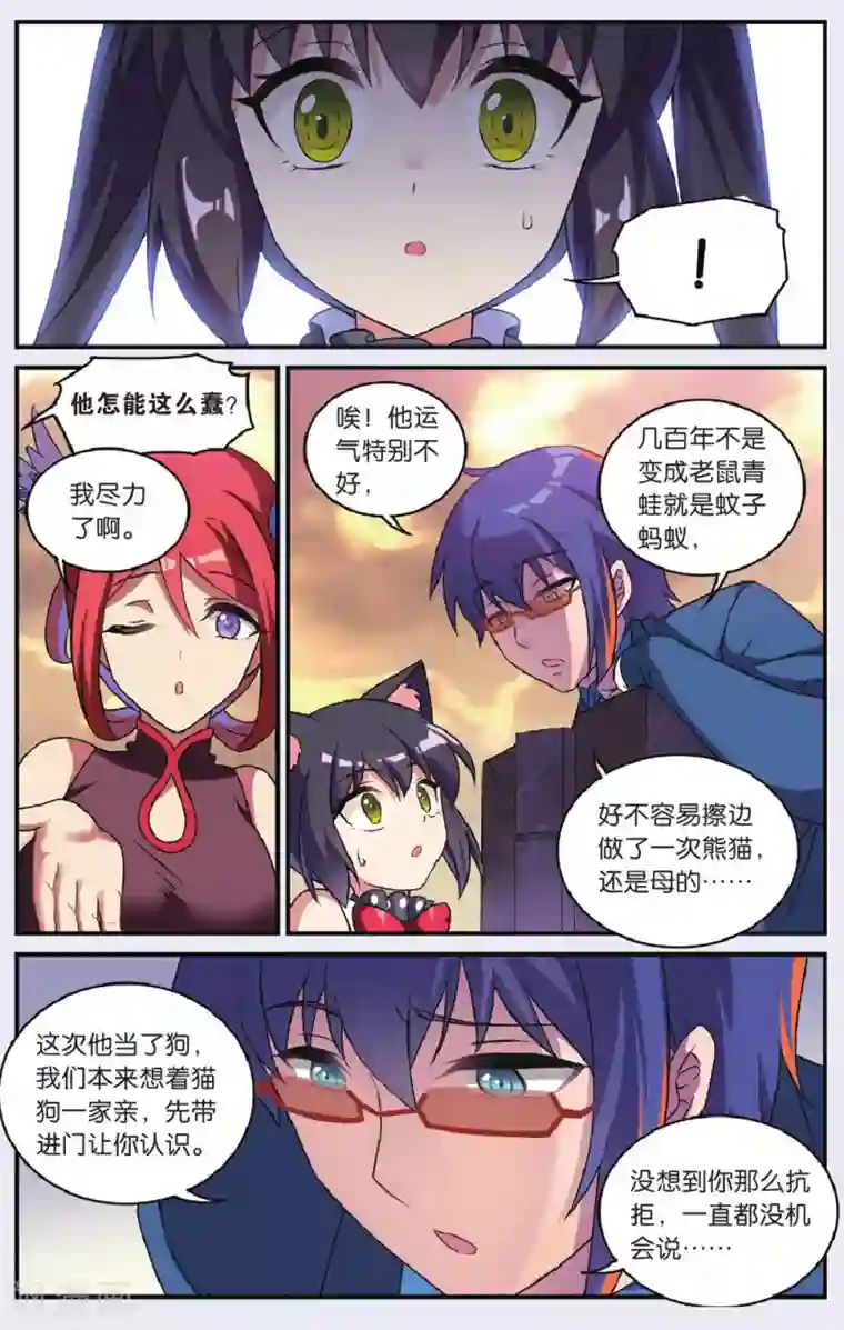 都市喵奇谭最终话 大结局