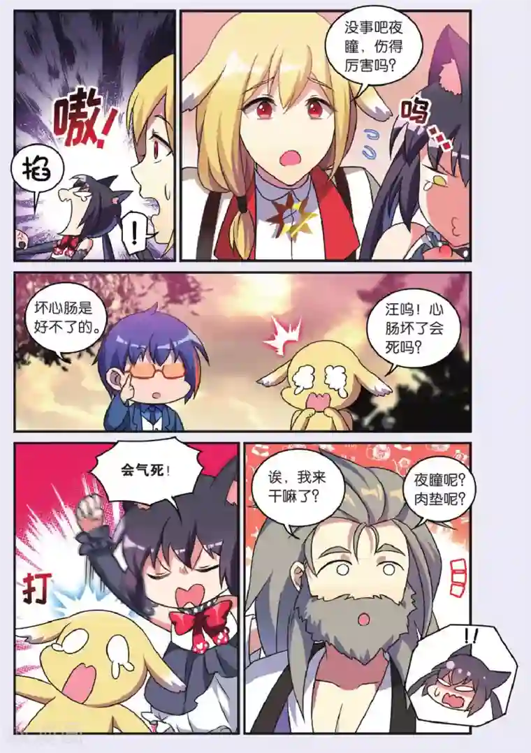 都市喵奇谭最终话 大结局