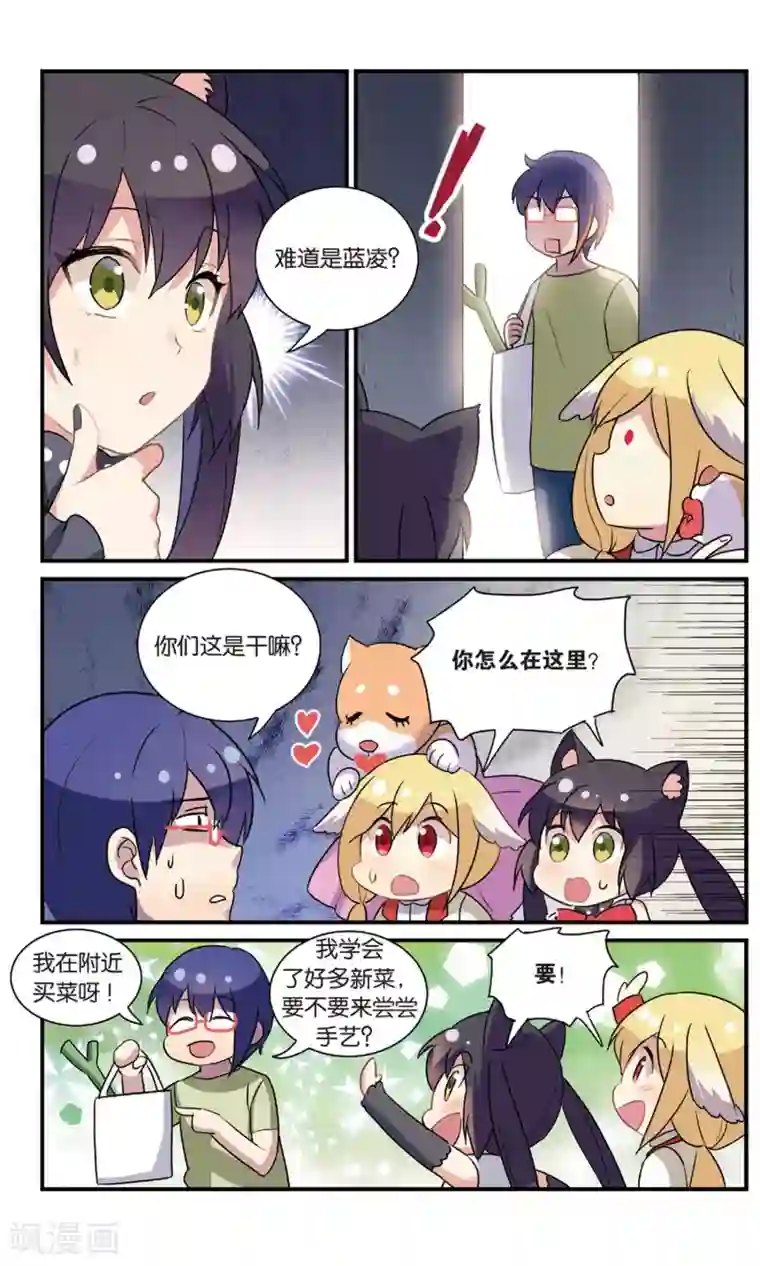 都市喵奇谭番外：发糖？！