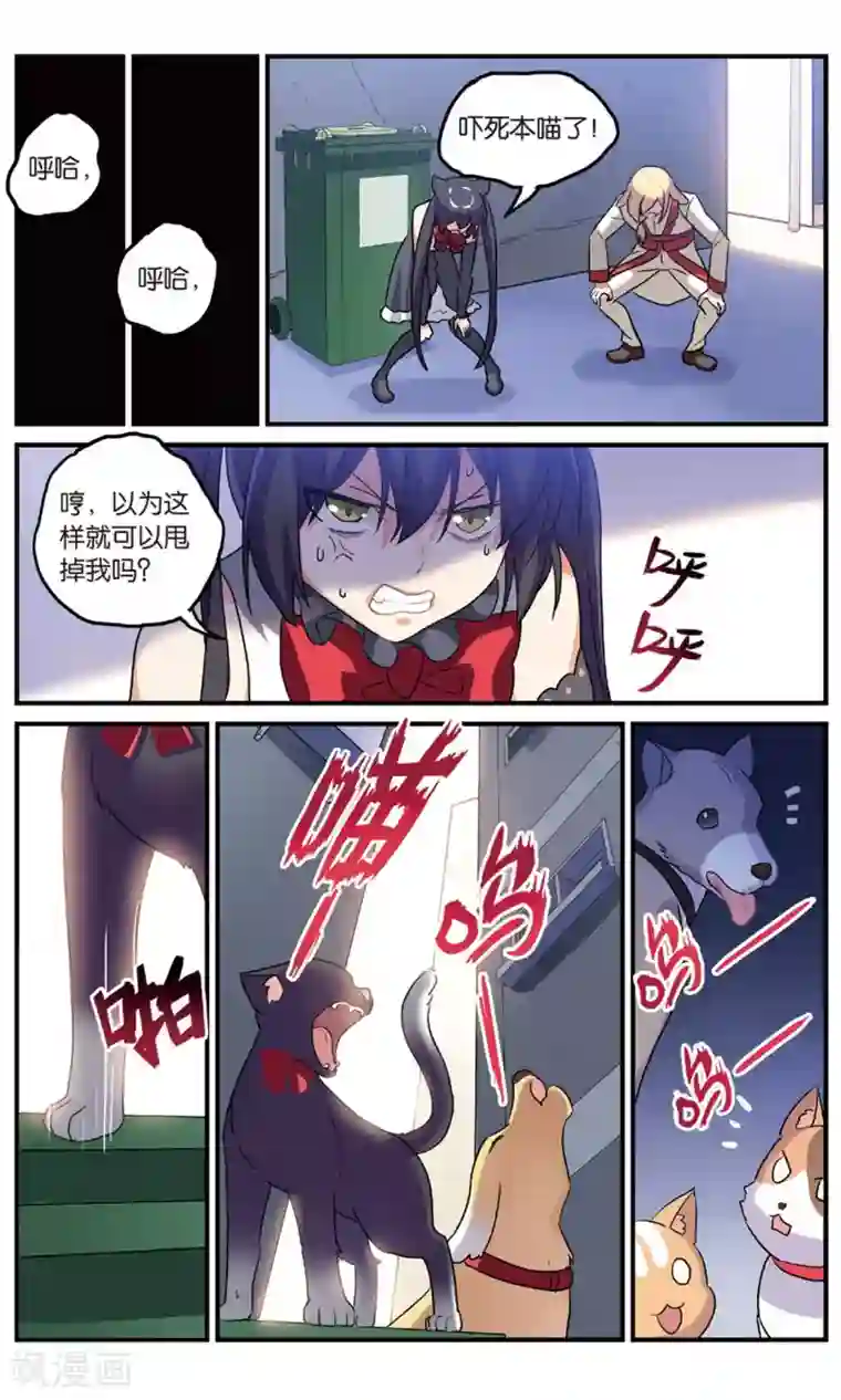 都市喵奇谭番外：发糖？！