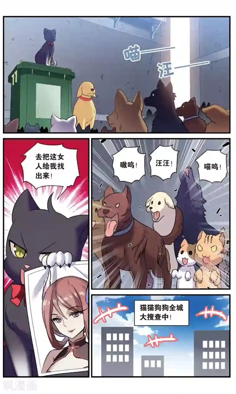 都市喵奇谭番外：发糖？！