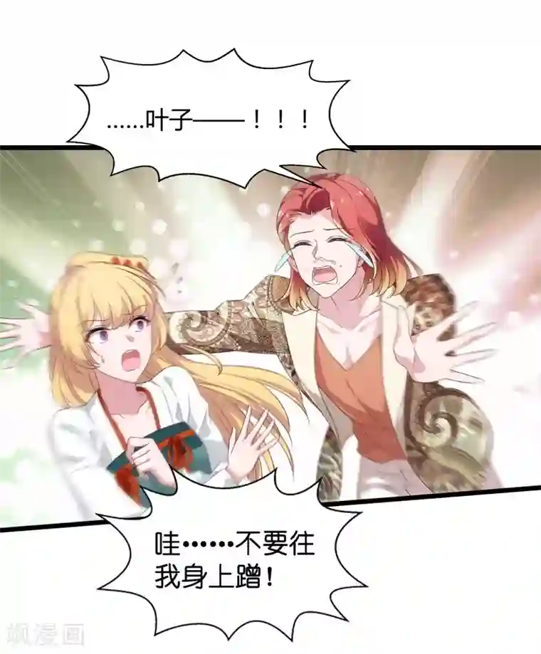 影后老婆不许逃第38话 王牌经纪人