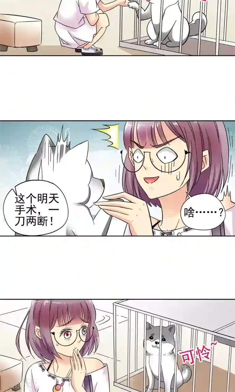 妙医圣女第10话 都是救死扶伤就不要挑剔了2