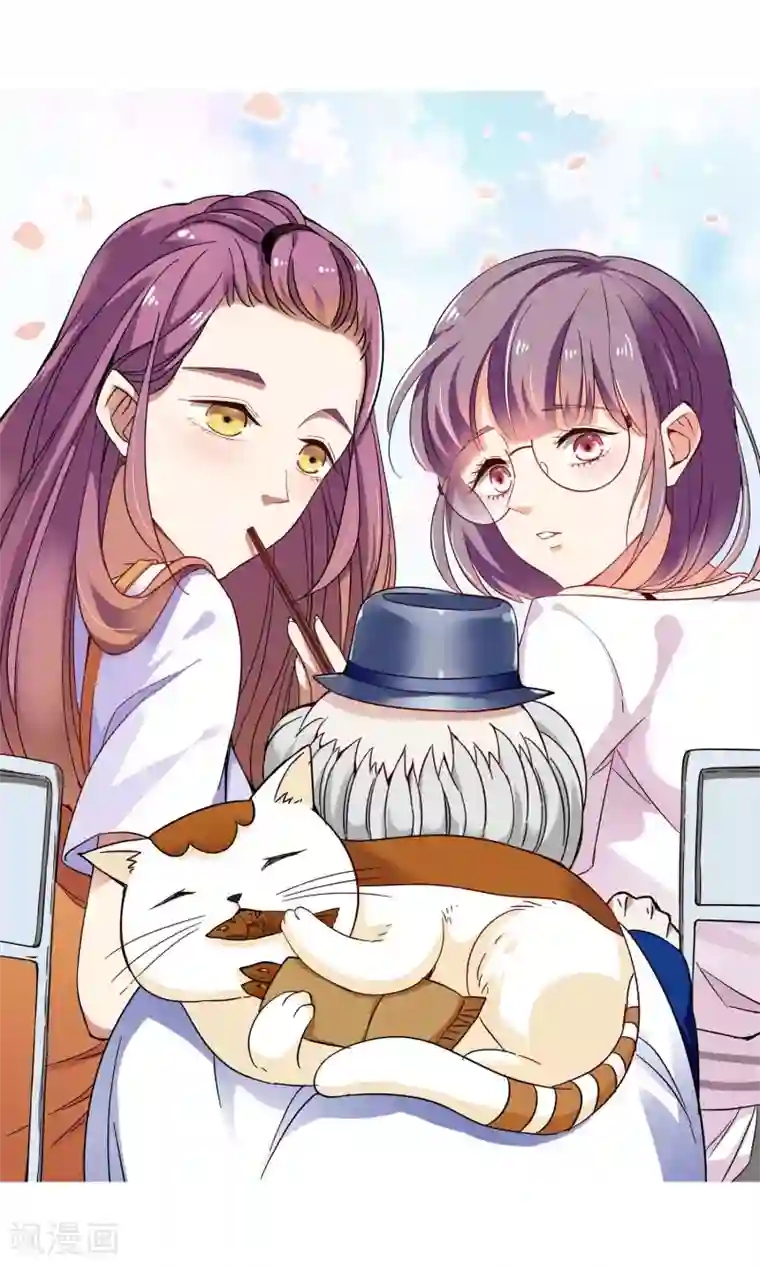 妙医圣女第19话 老人与猫1