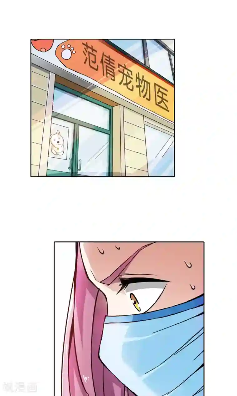 妙医圣女第19话 老人与猫1