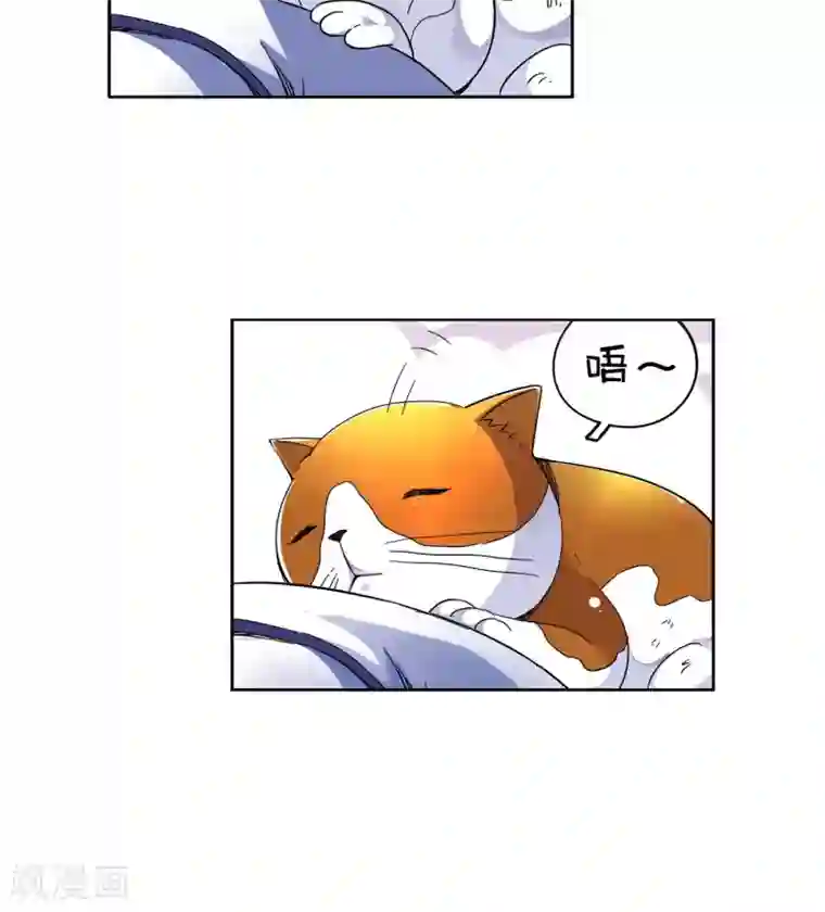 妙医圣女第20话 老人与猫2