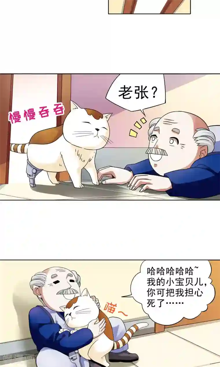 妙医圣女第21话 老人与猫3