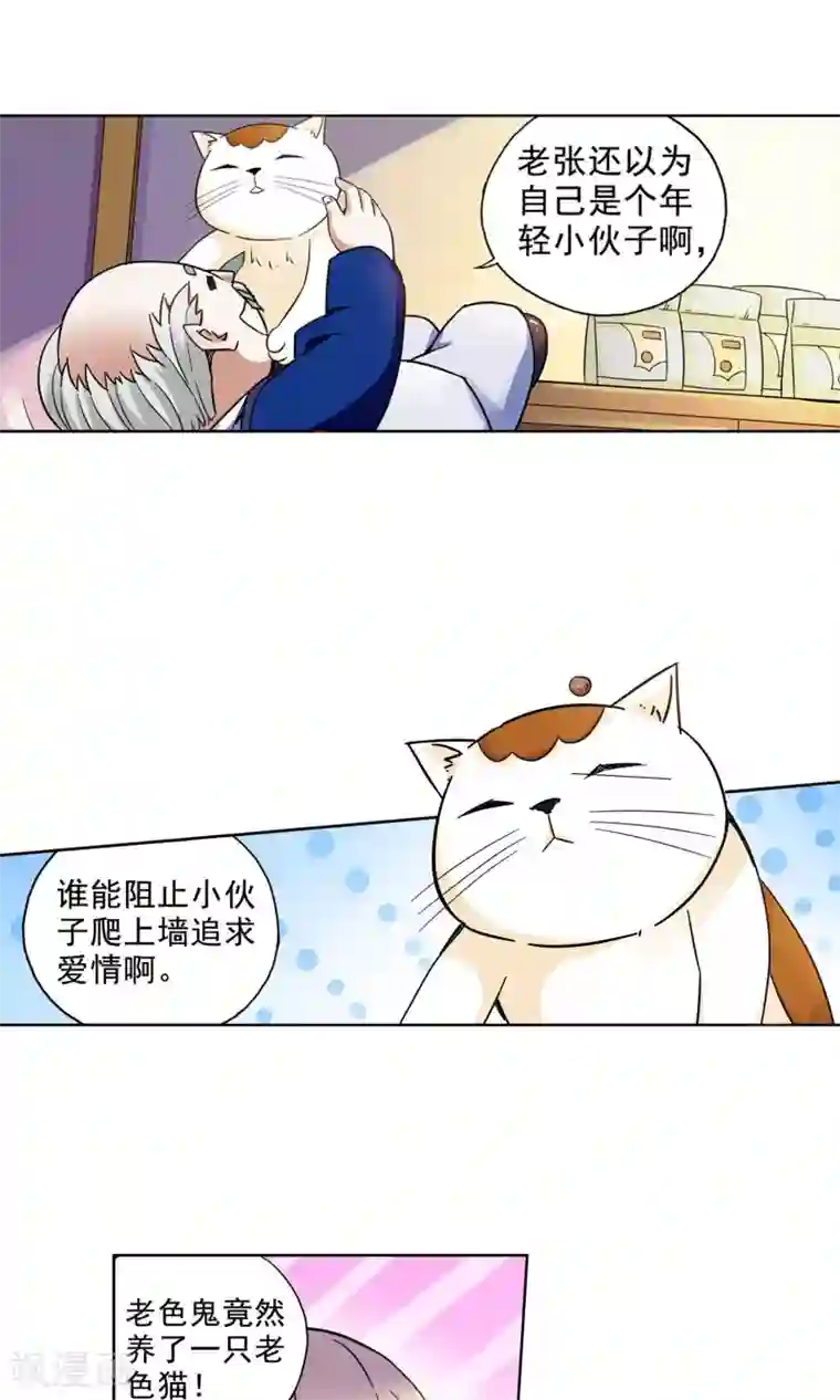 妙医圣女第22话 老人与猫4