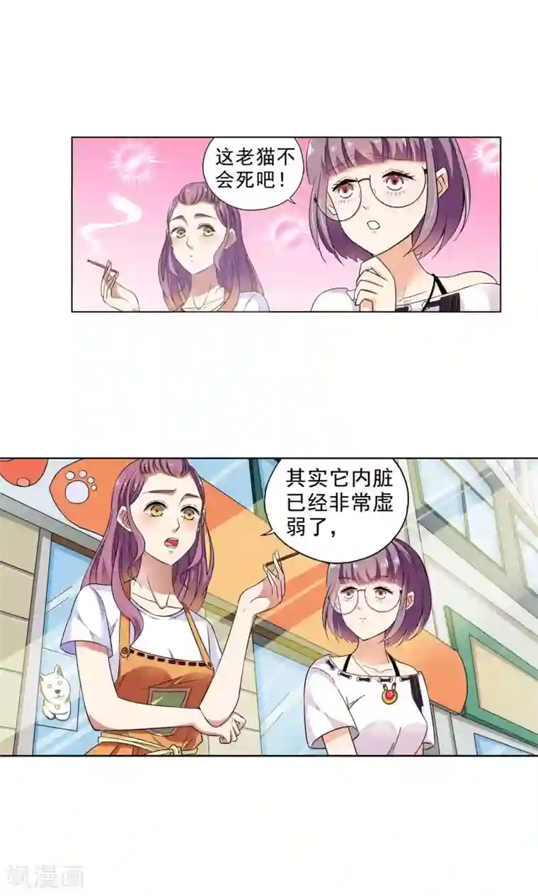 妙医圣女第22话 老人与猫4